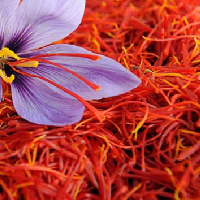 Saffron for Retinal Health